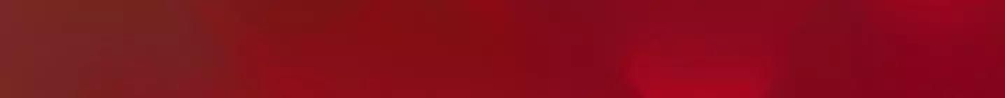 YENİ YIL ÜRÜNLERİ