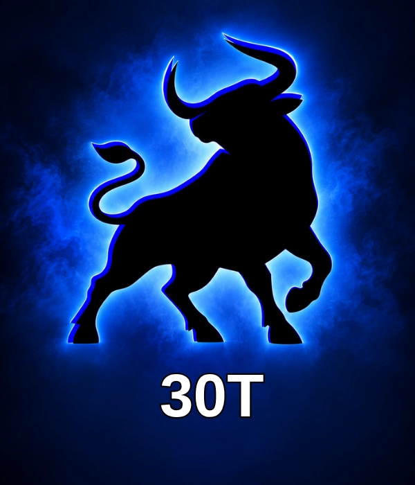 30T RİTZY PUAN