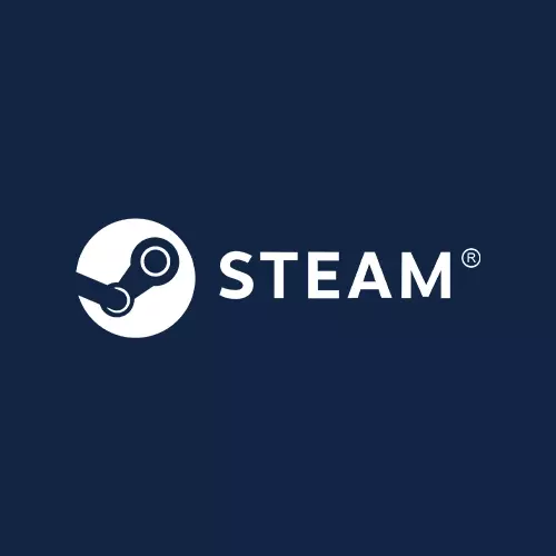 Steam