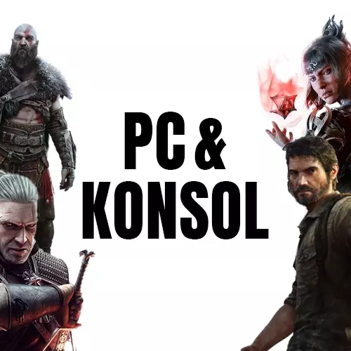 PC & Konsol Oyunları