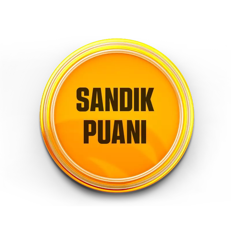 SANDIK & ÇARK 100 PUAN