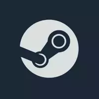 Steam