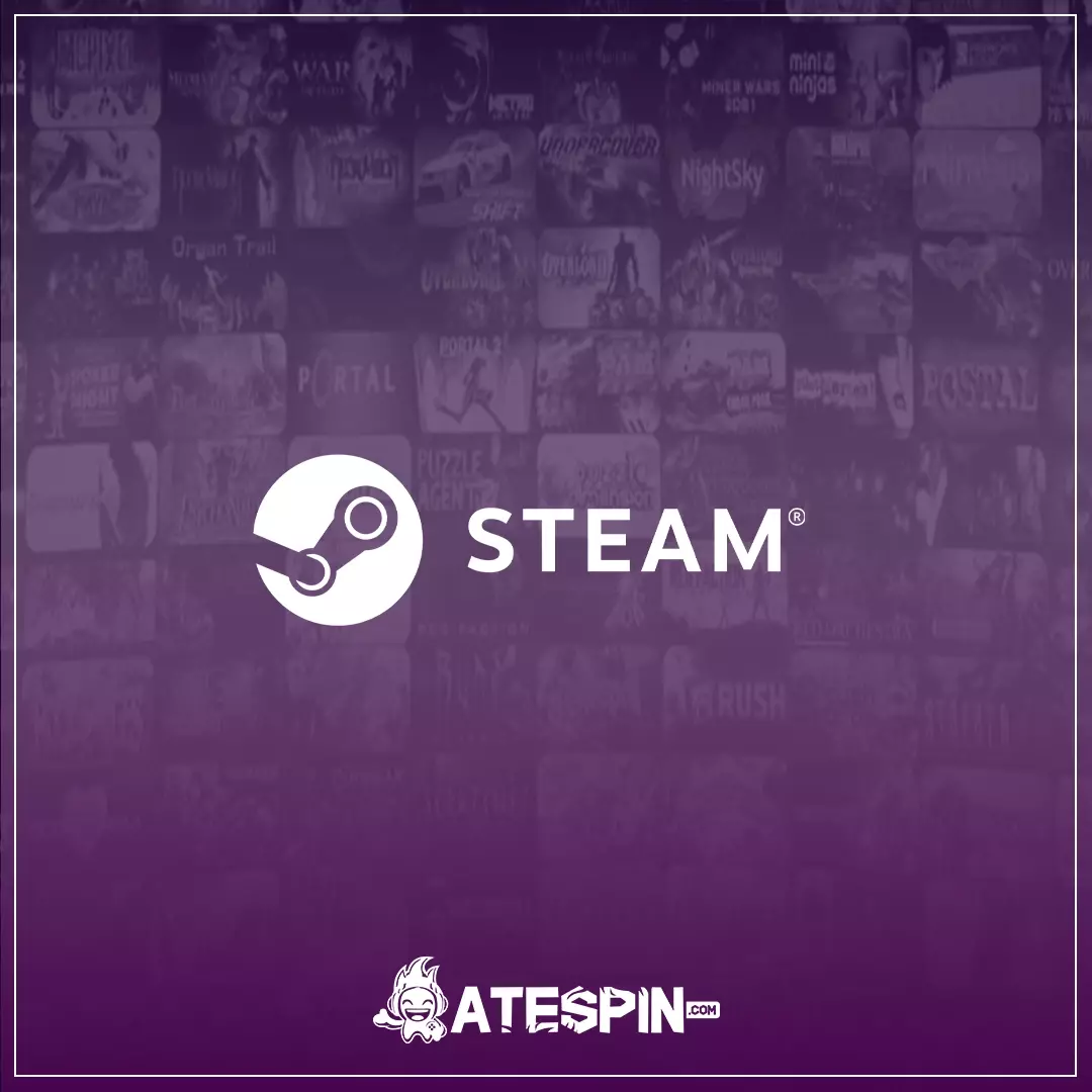 Steam USD Cüzdan Kodu