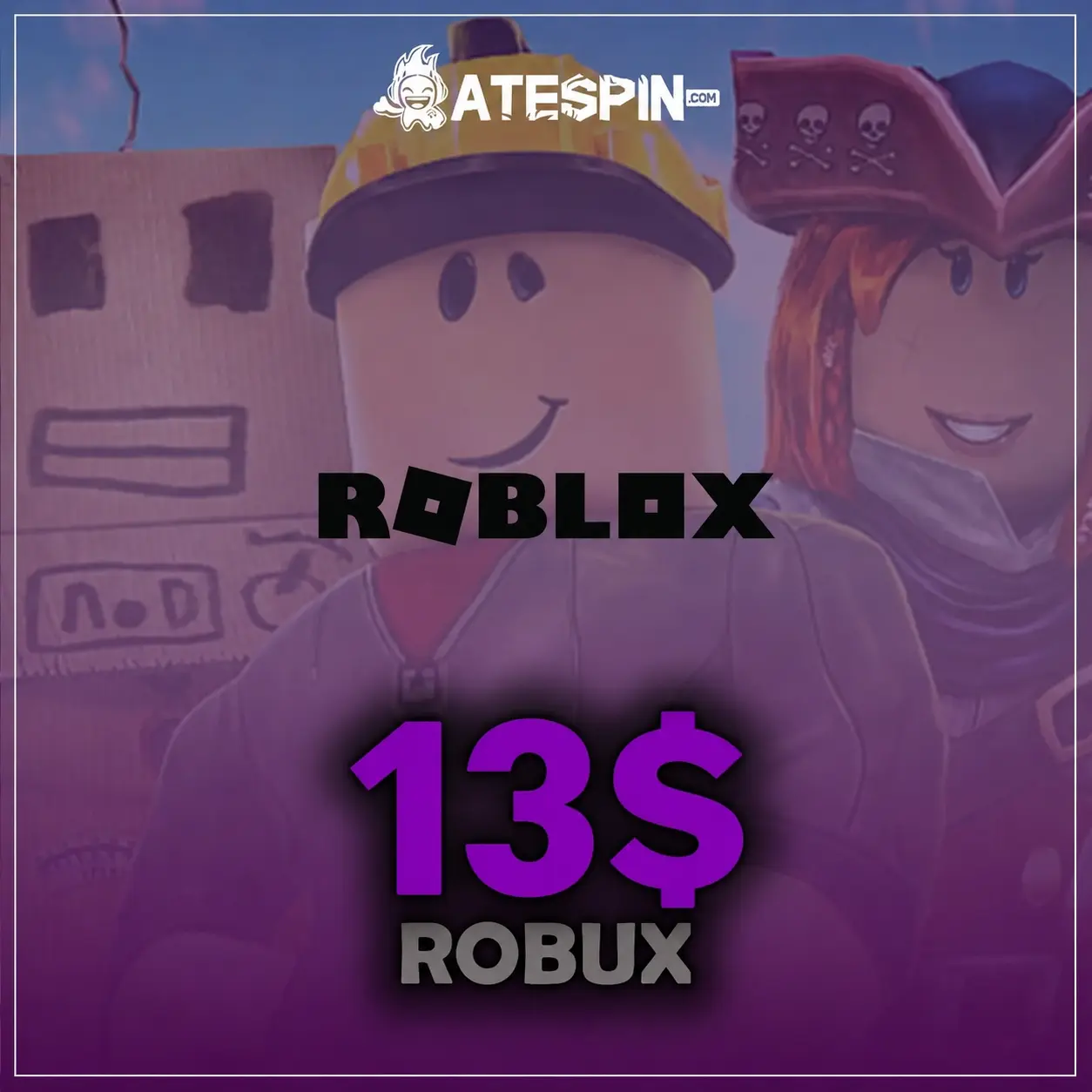 Roblox 13 USD