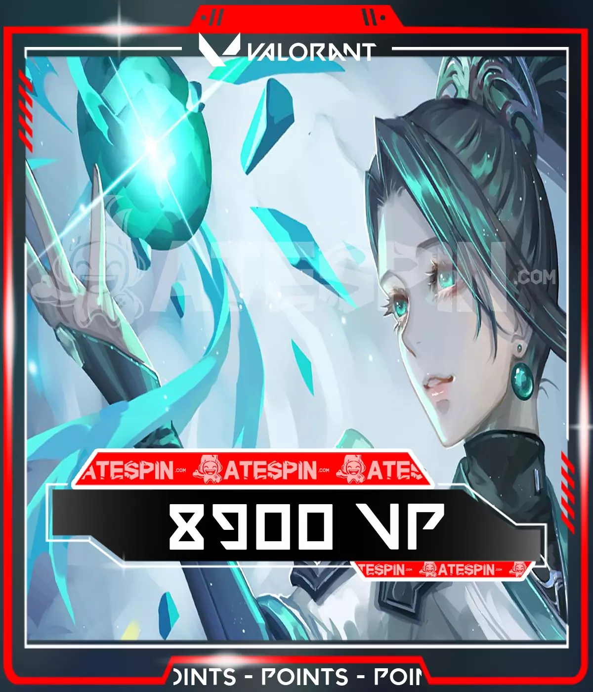 Valorant 8900 VP
