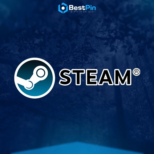 Steam