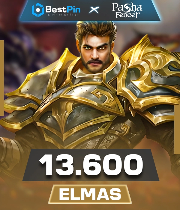 Pasha Fencer 13600 Elmas