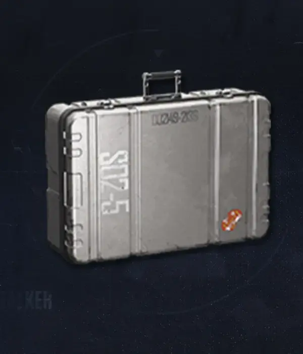Arena Breakout Bulletproof Case Privileges