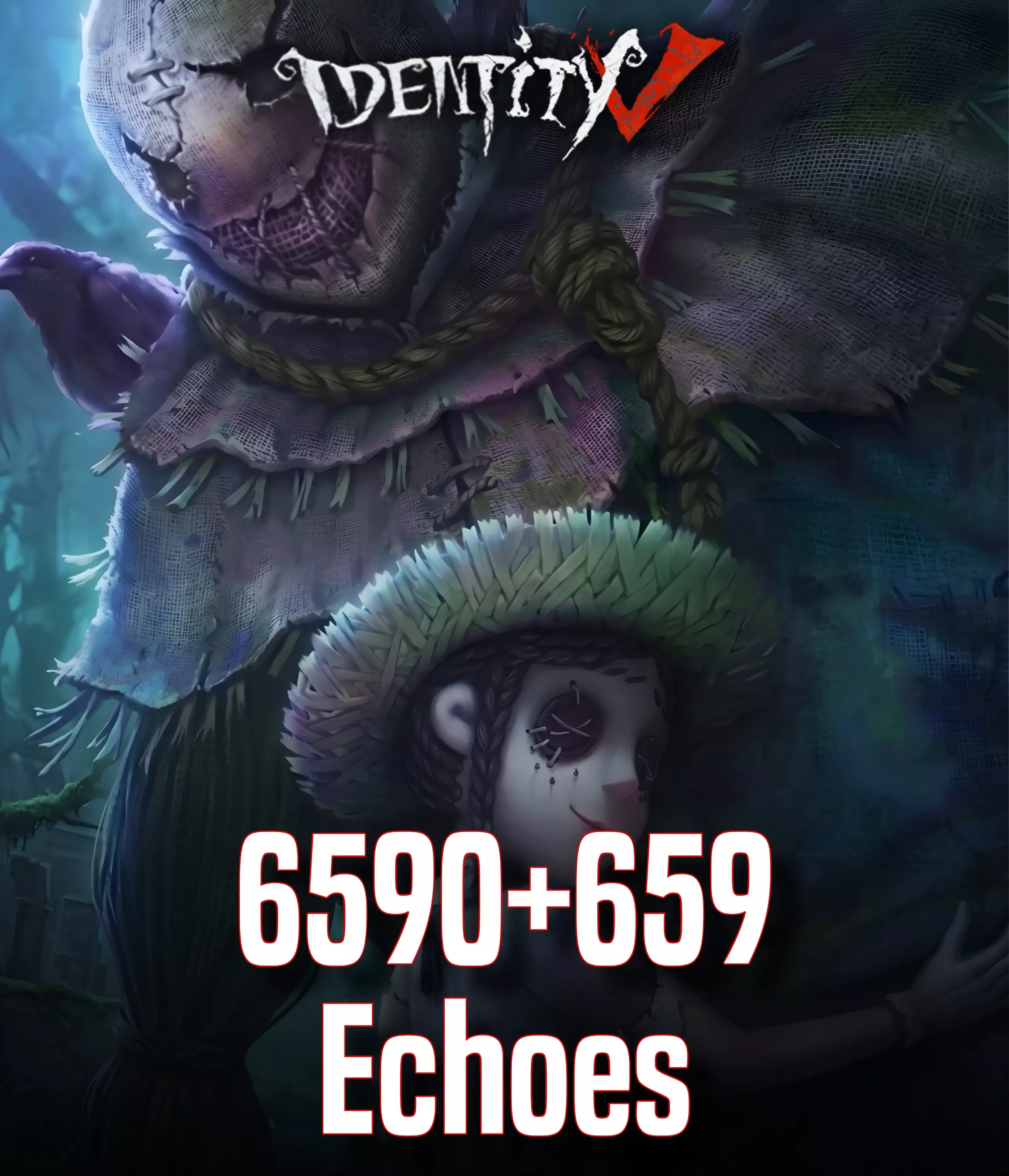 6590+659 Echoes
