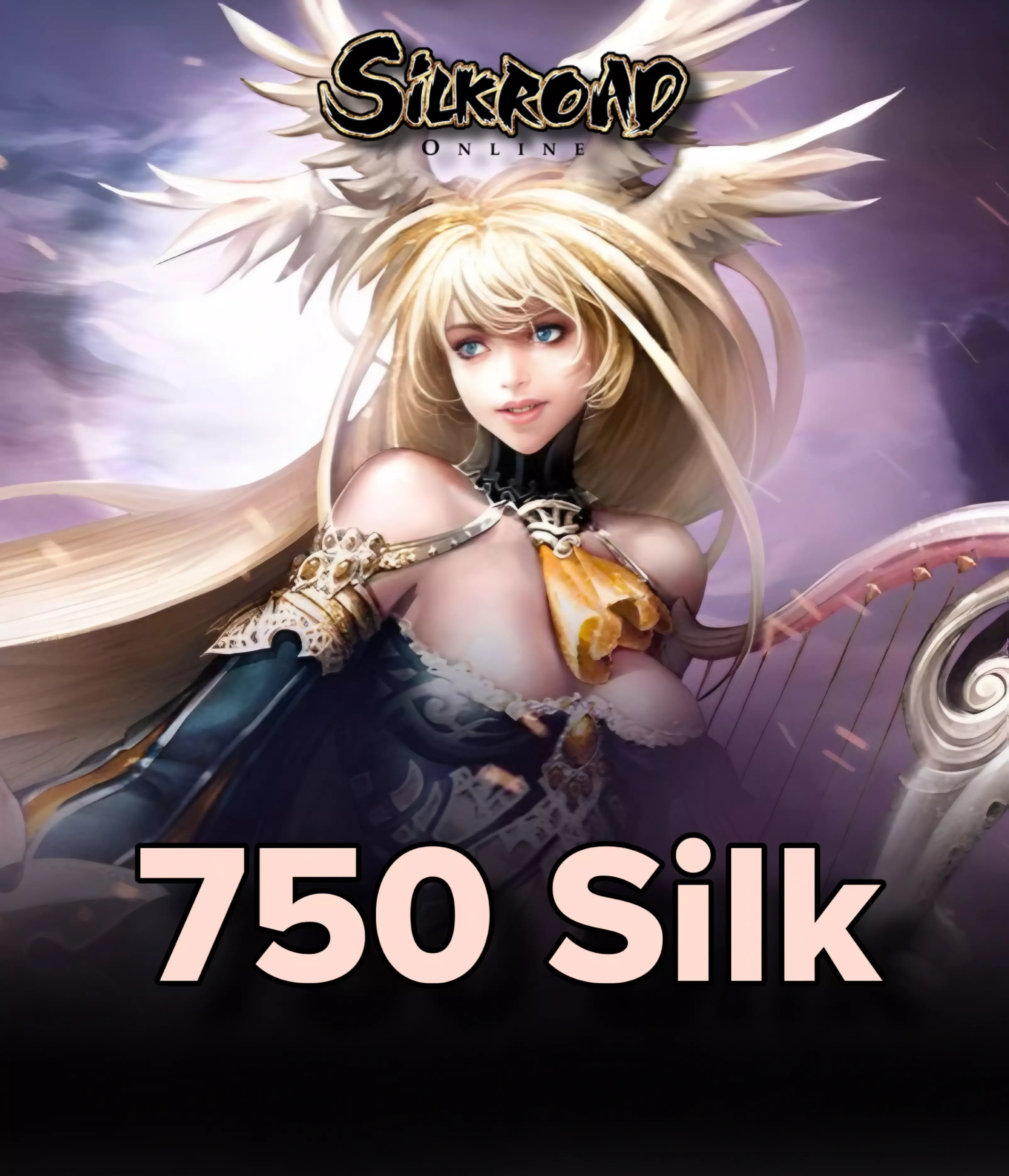 Silkroad Türkiye 750 Silk