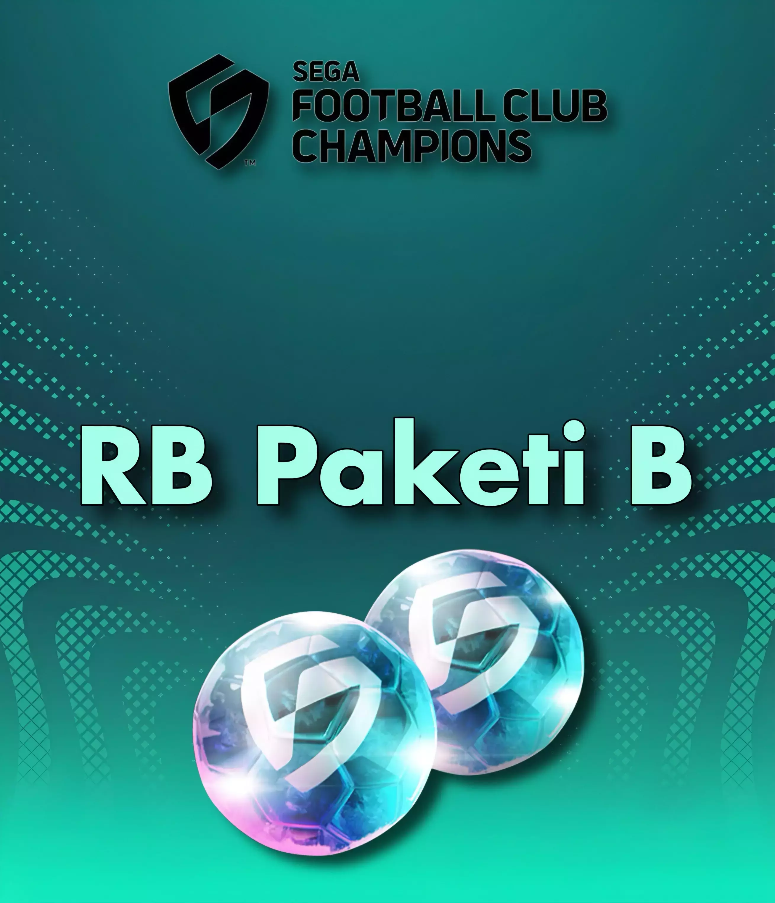 RB Paketi B