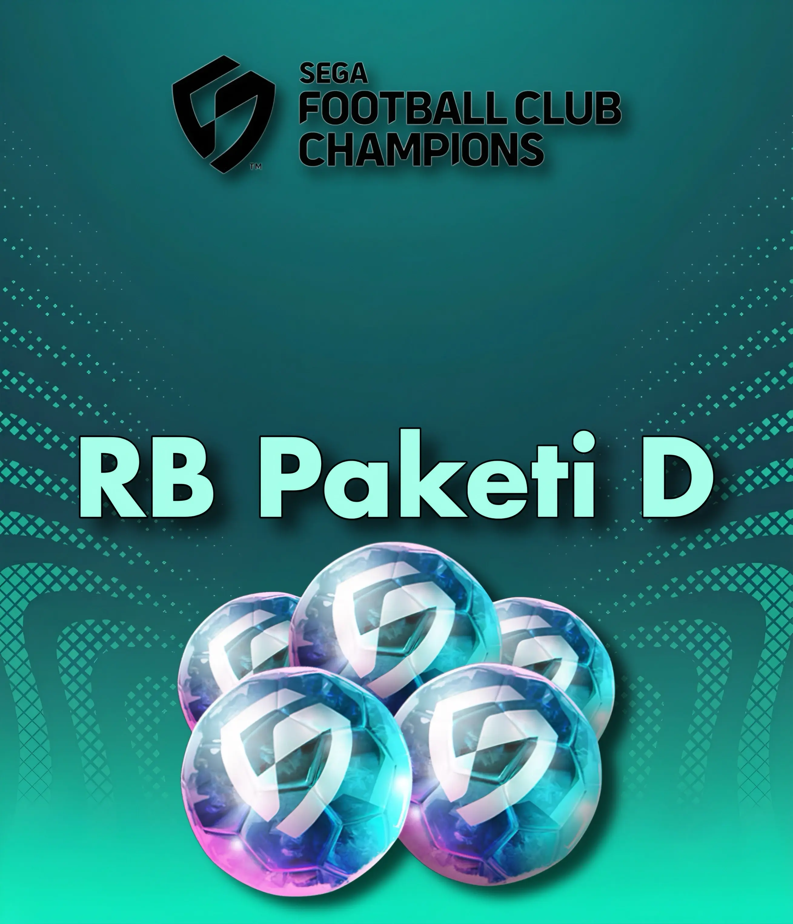 RB Paketi D
