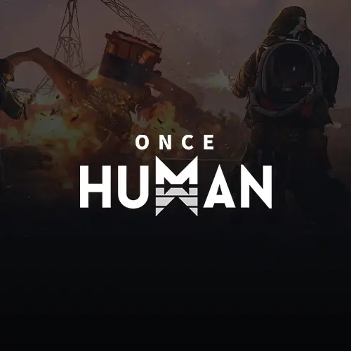 Once Human