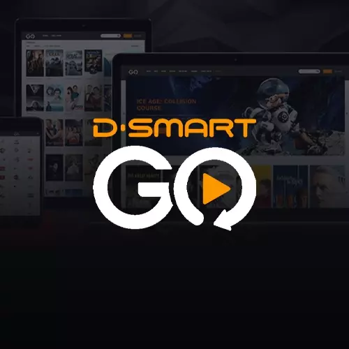 Dsmart