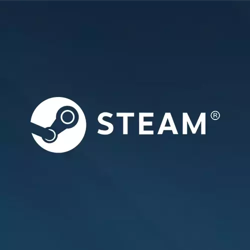 Steam South Africa