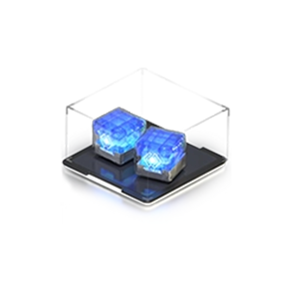 30 BitGold