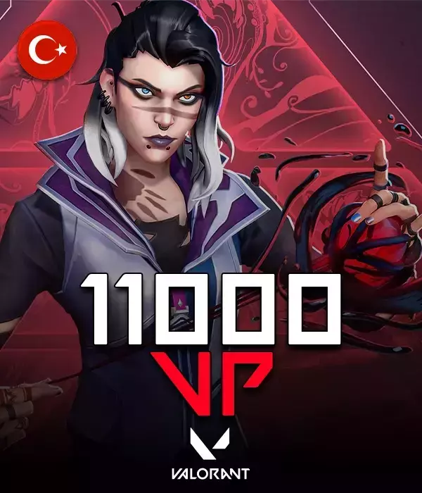 Valorant 11000 VP
