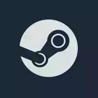 Steam