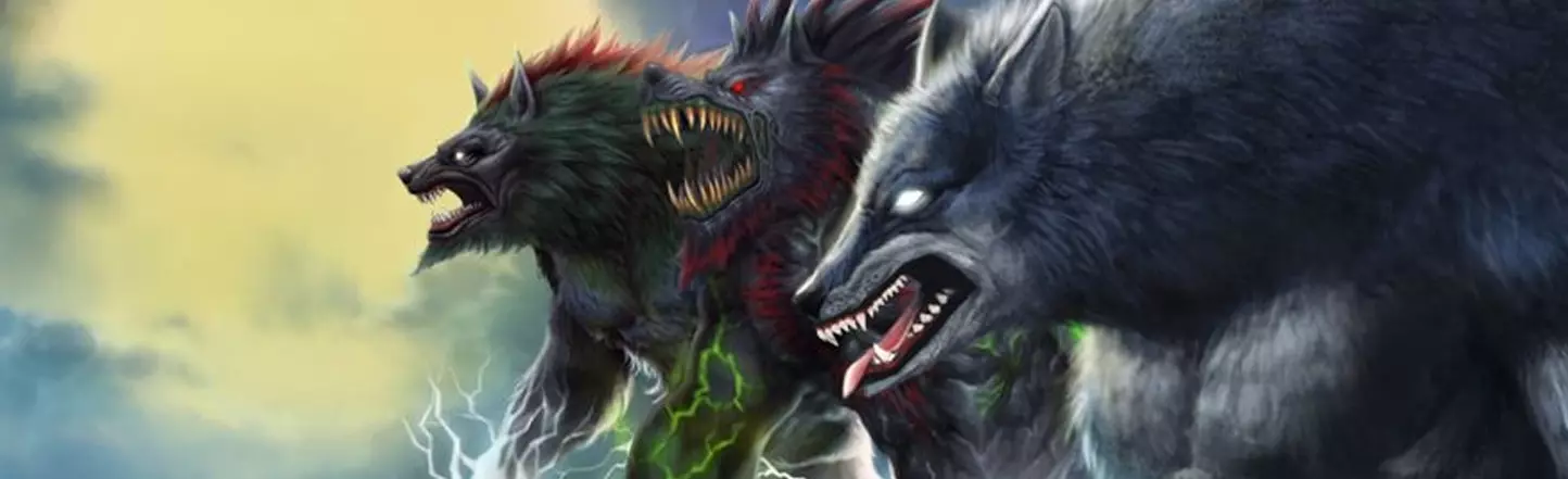 Wolfteam Referans Kodu Nedir? Ne İşe Yarar?