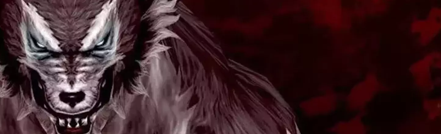 Wolfteam İnternet Hızı Sorunu Nasıl Çözülür? Wolfteam İnternet Hızı Sorunu Nasıl Çözülür?