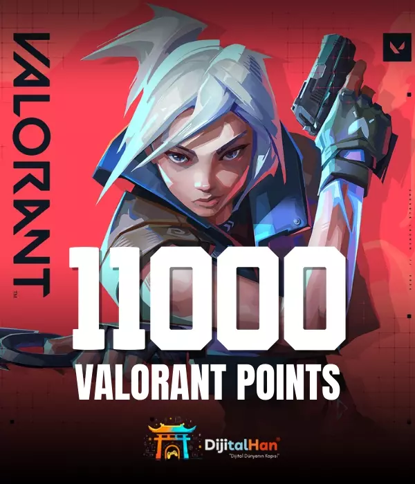 Valorant 11000 VP