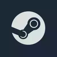 Steam