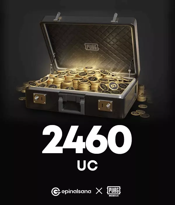 Anlık 2460 UC
