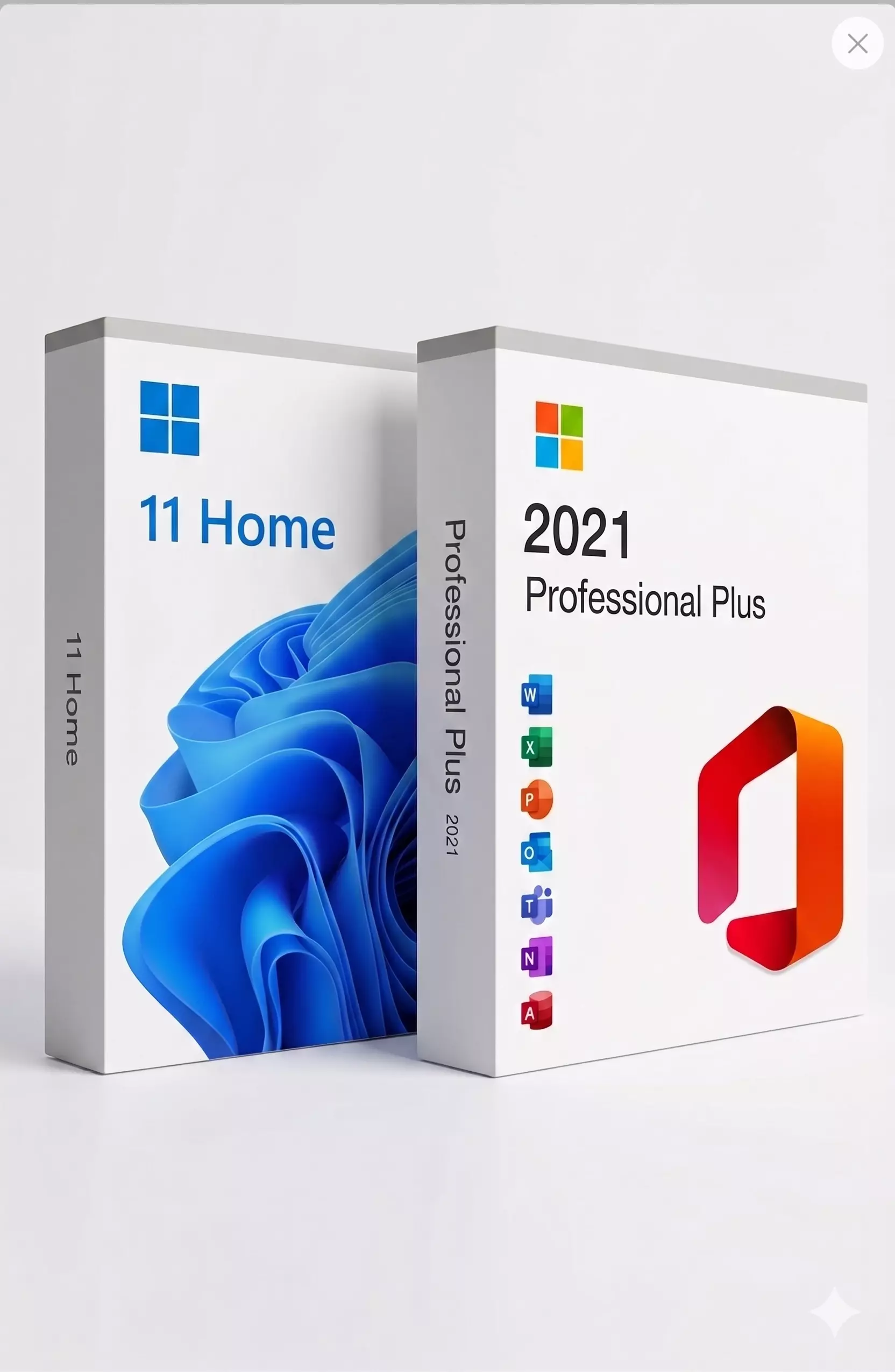 Windows11Home + Office2021Pro