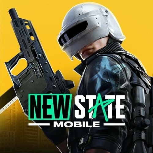Pubg New State 300 Nc