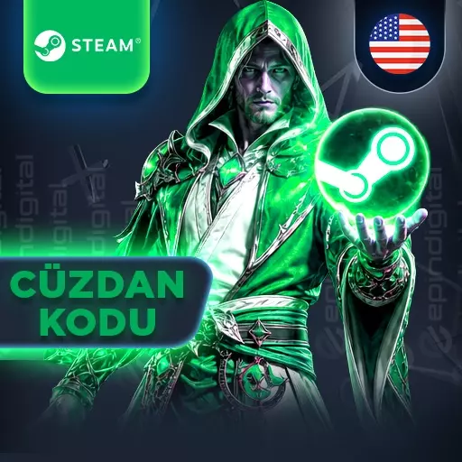 Steam USD