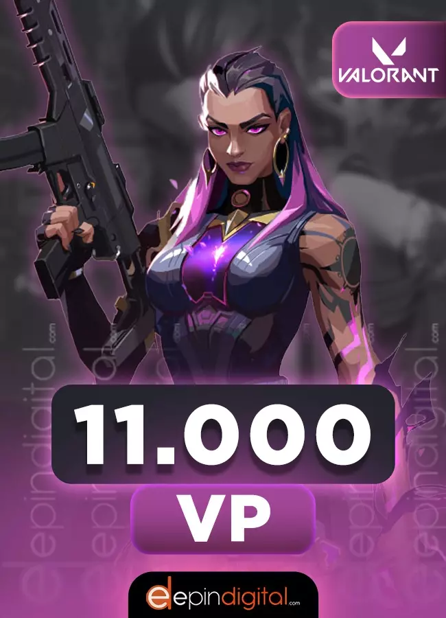 Valorant 11000 VP