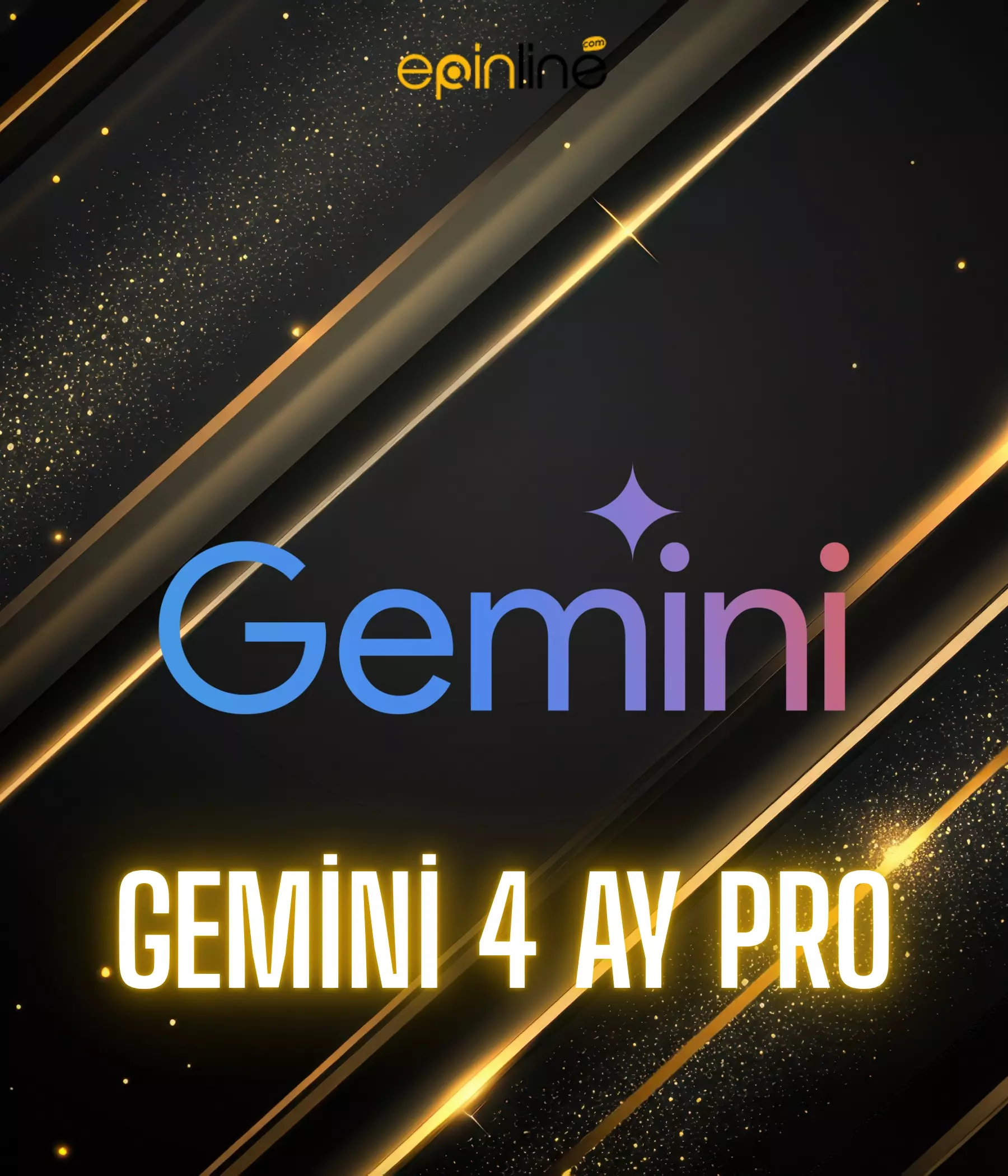 Gemini 4 Ay Pro