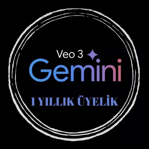 Gemini 12 Aylık Google Pro
