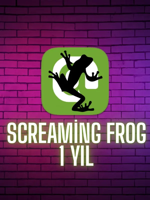 ScreamingFrog 1 Yıl