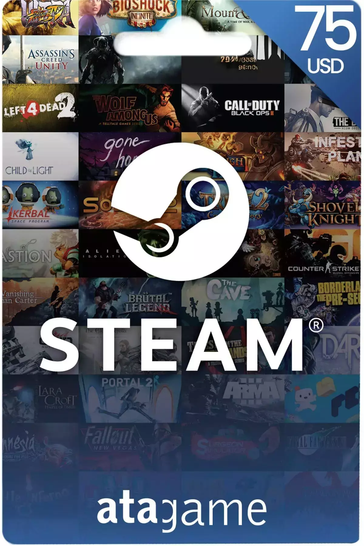 Steam 75 Usd / Dolar Cüzdan Kodu