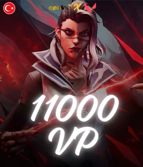 Valorant 11000 VP