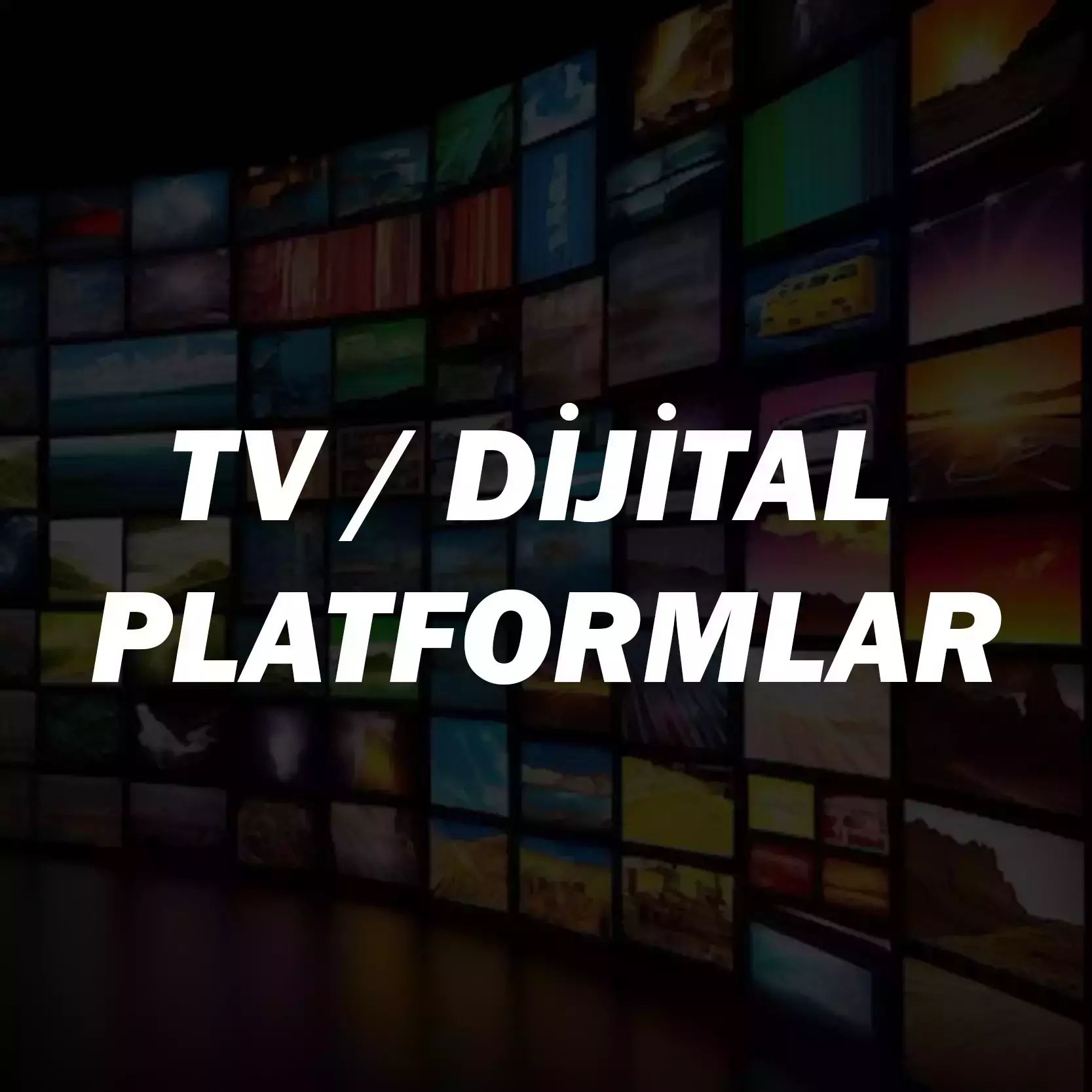 Dijital Platformlar