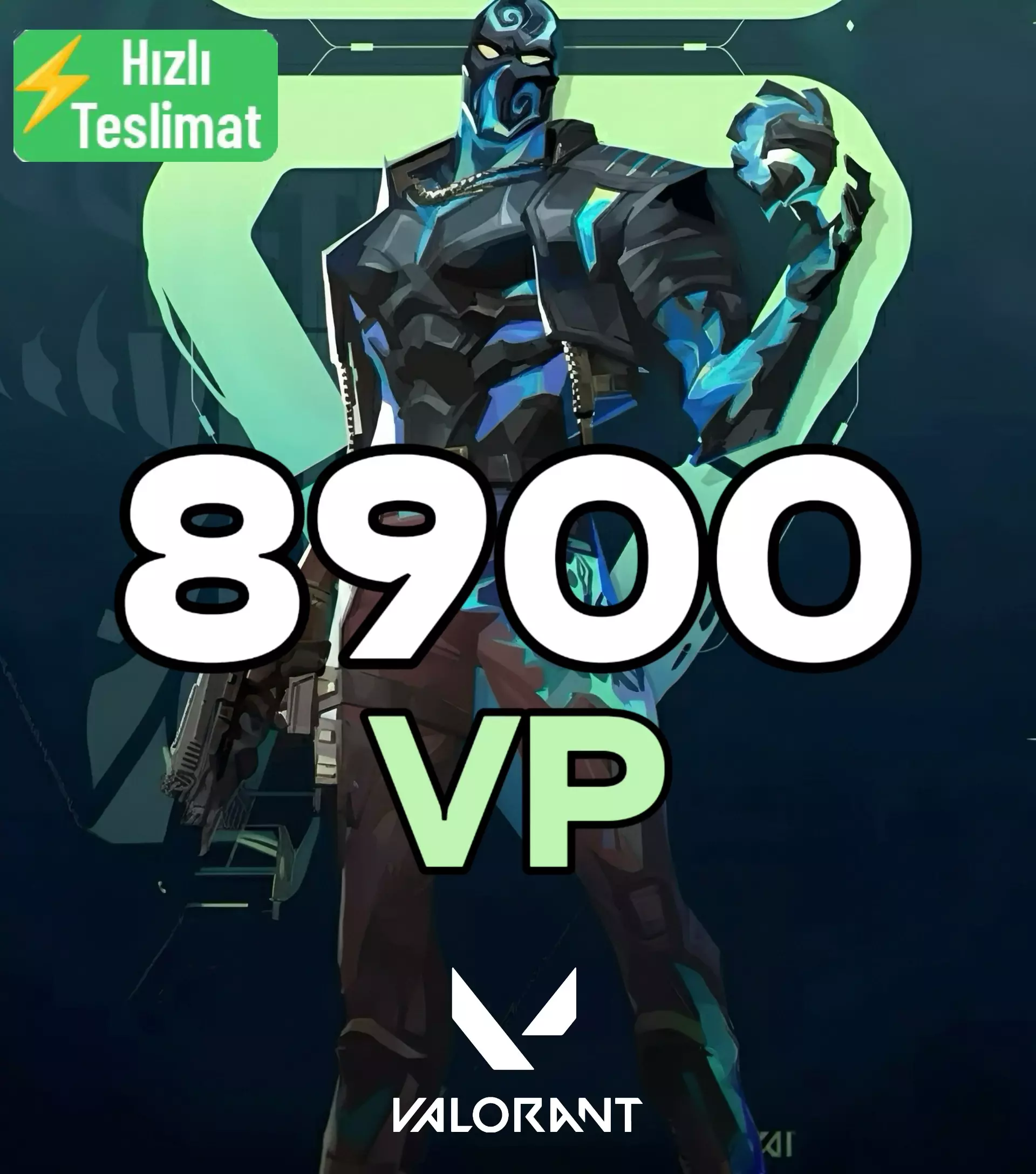 Valorant 8900 VP