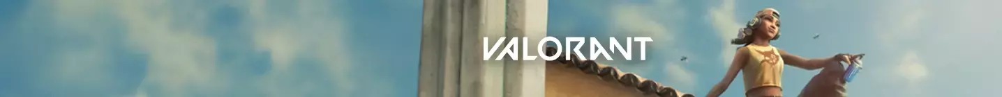 VALORANT VP22222