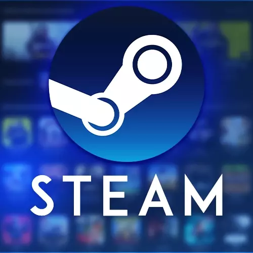 Steam