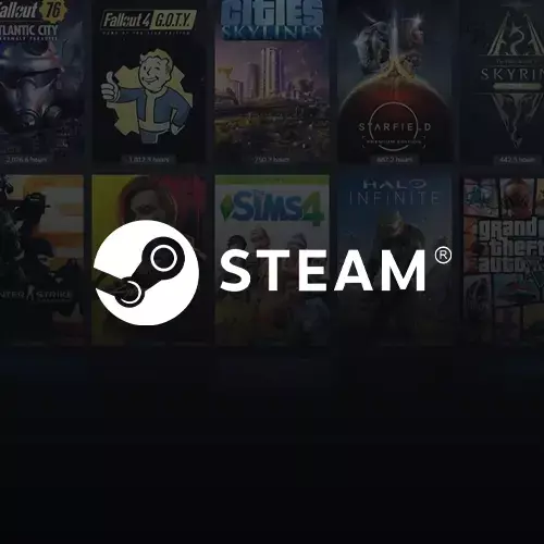 Steam
