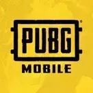 Pubg