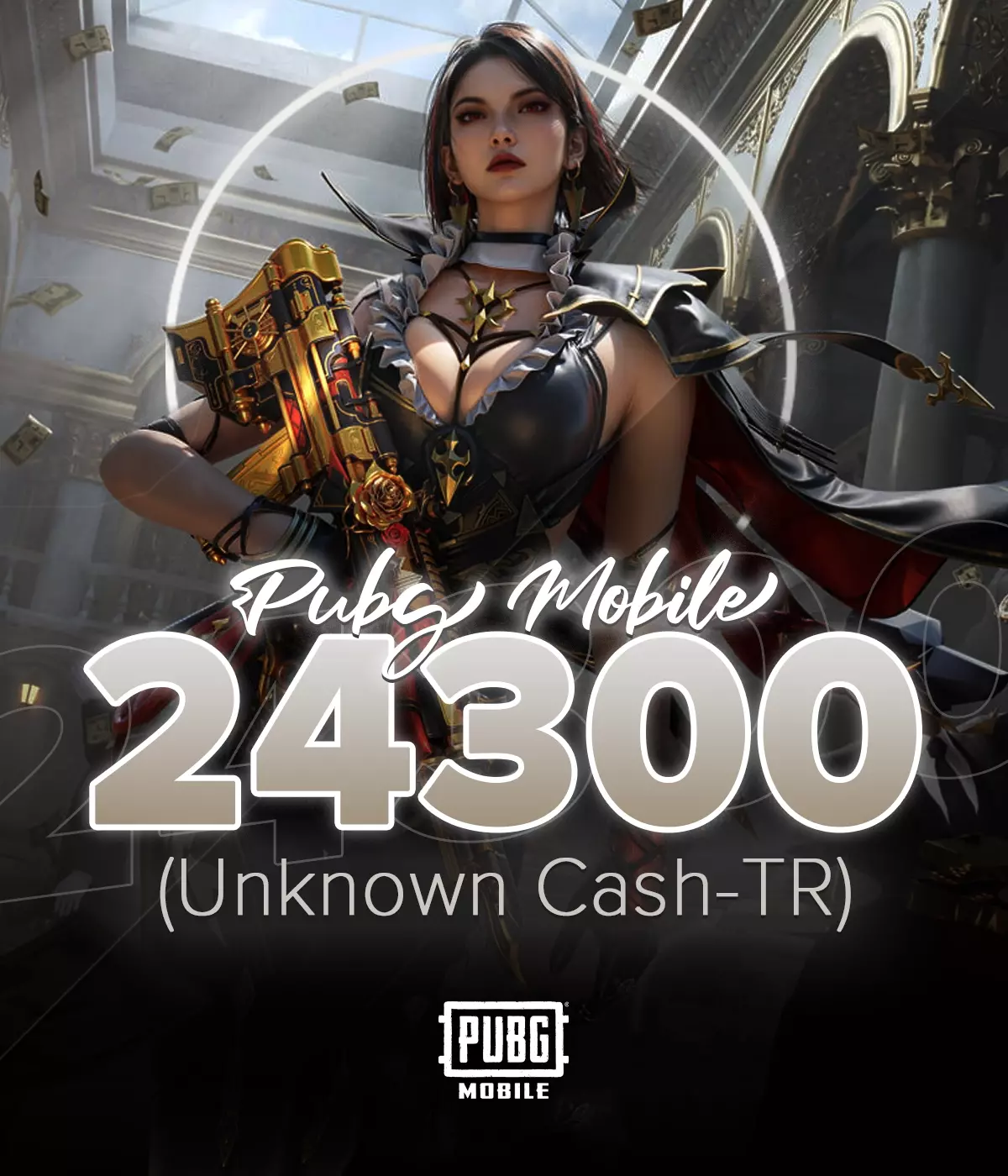 Pubg Mobile 24300 UC TR ID