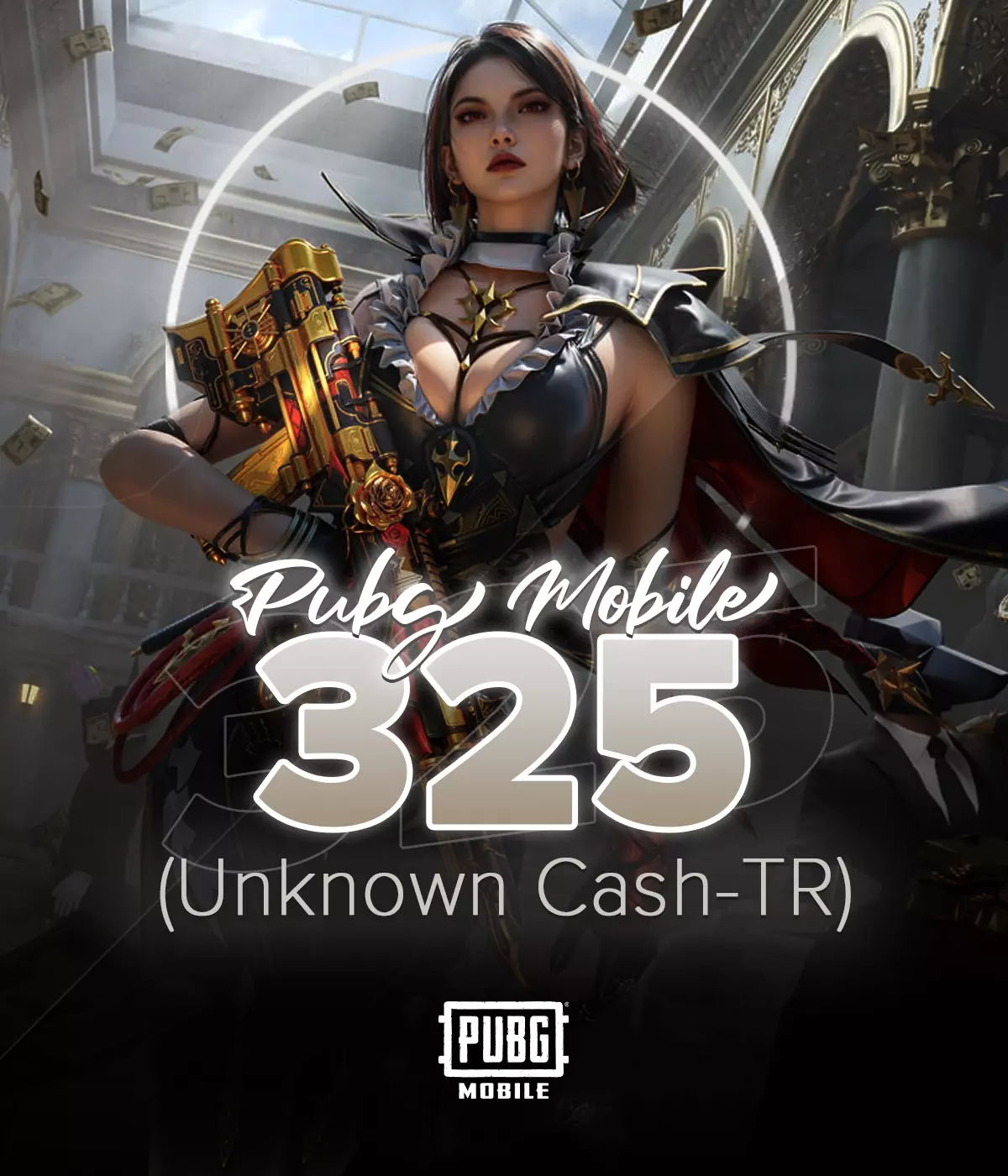 Pubg Mobile 325 UC TR ID