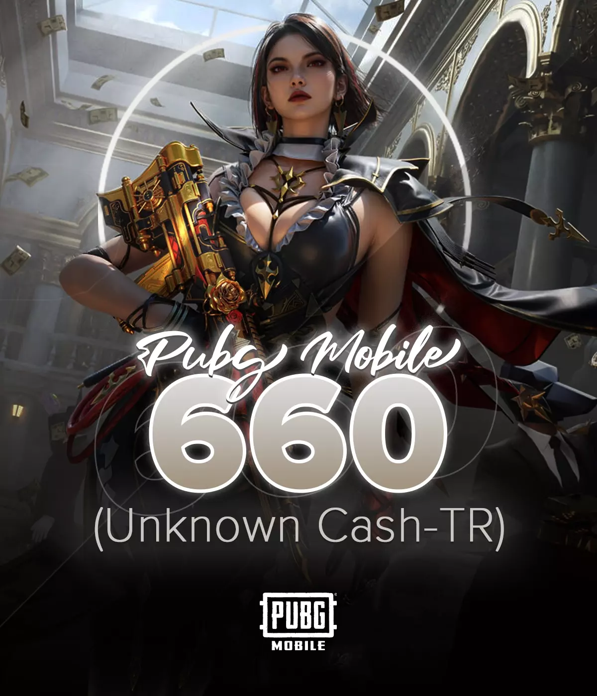 Pubg Mobile 660 UC TR ID