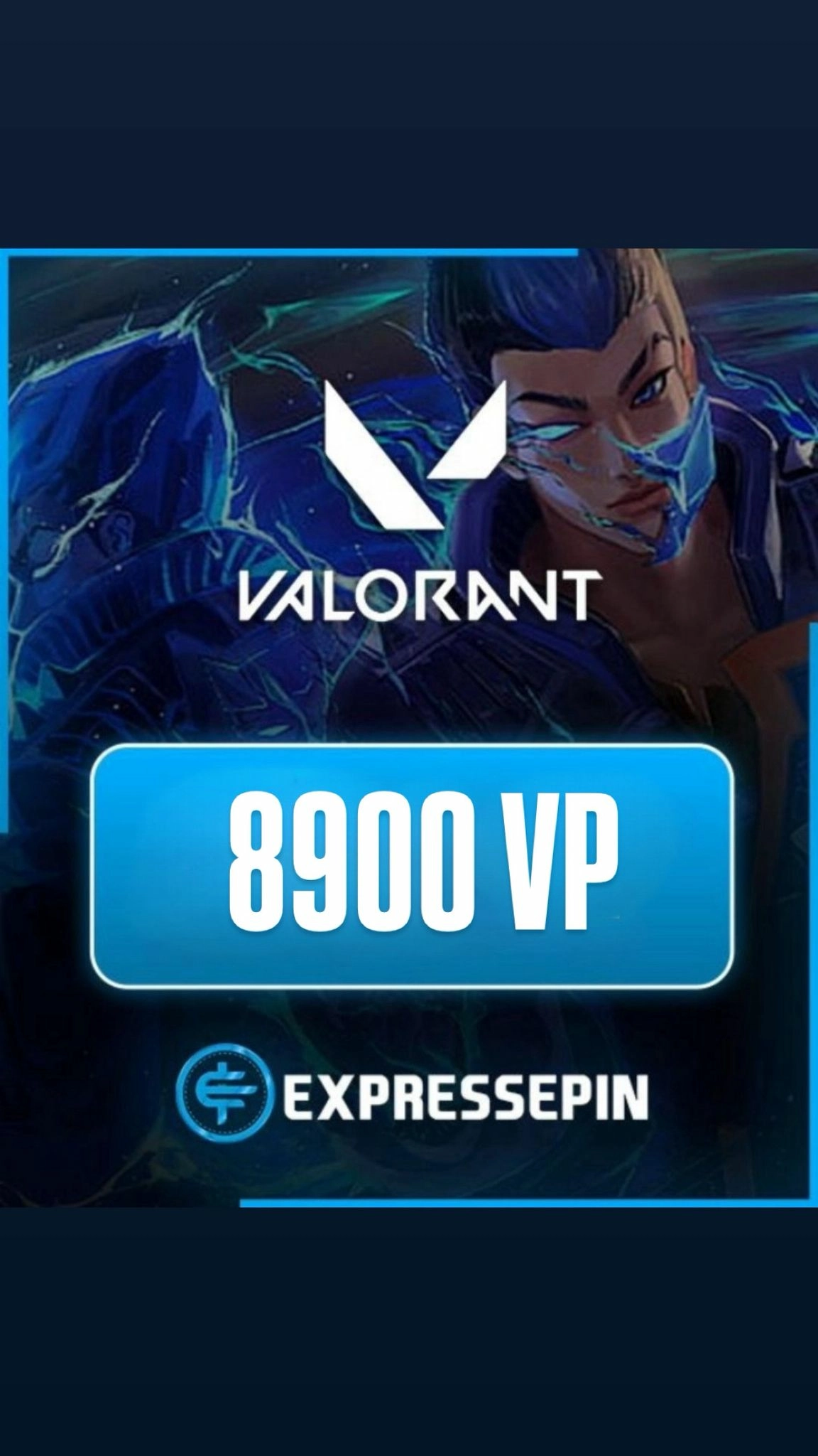 Valorant 8900 VP