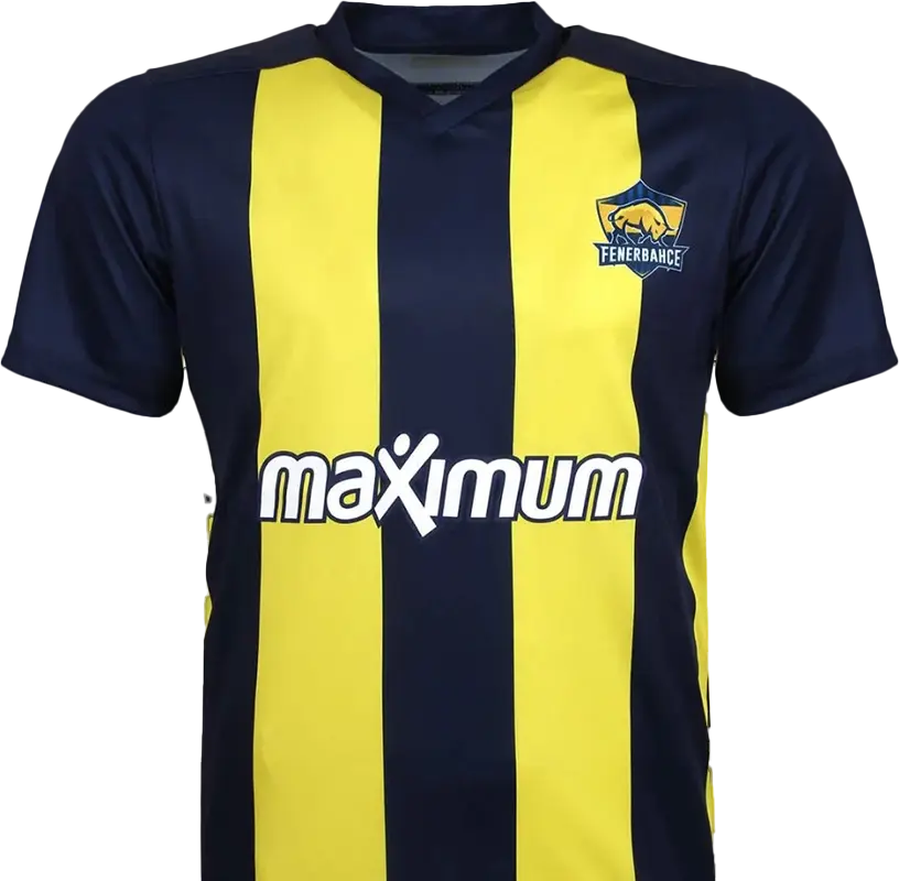Fenerbahçe Espor Çubuklu Forma