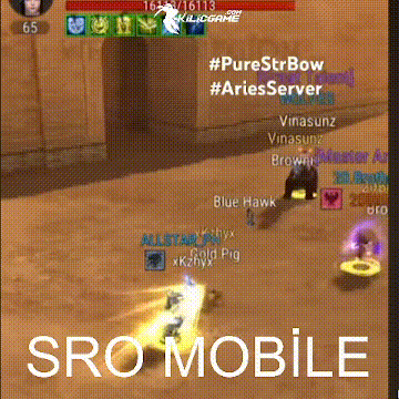 Origin Mobile Silkroad (GLOBAL)