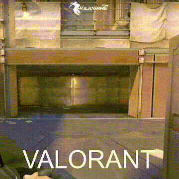 VALORANT VP