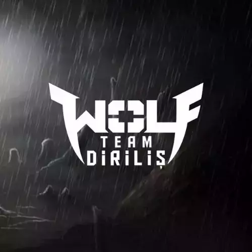 WOLFTEAM